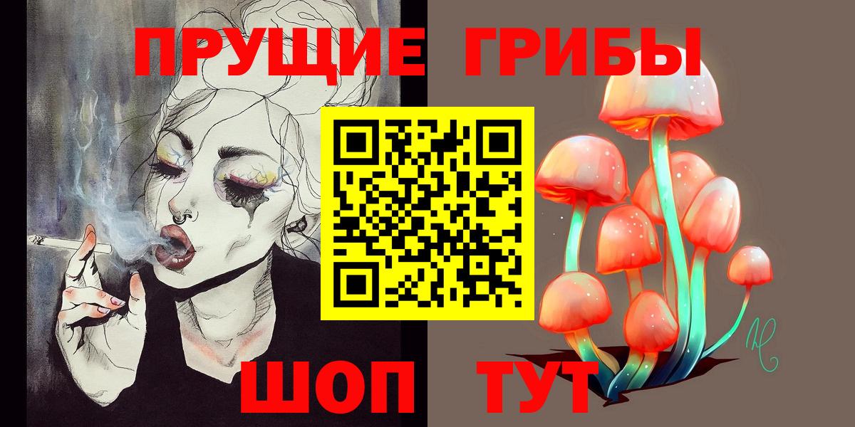 Буйнакск  Галлюциногенные грибы прущие грибы  наркошоп  Псилоцибиновые грибы Psilocybine cubensis  Вход с VPN 